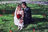Brautpaar auf Tulpenwiese