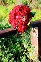 Brautstrauss rote rosen